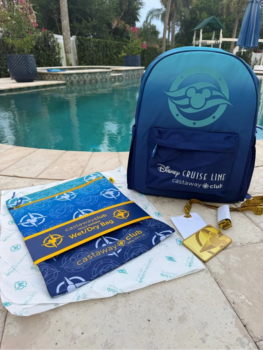 NEW DCL Blue Ombre Backpack with Matching Wet/Dry Bag & 2 Lanyards
